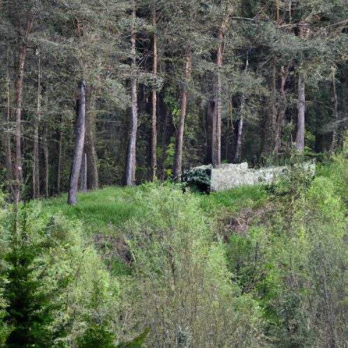 Badanie dna oka: Co wykrywa i dlaczego jest tak istotne?